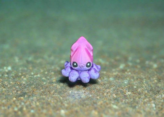 Sasha Squid