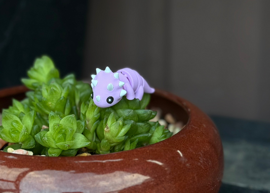 Taylor Triceratops