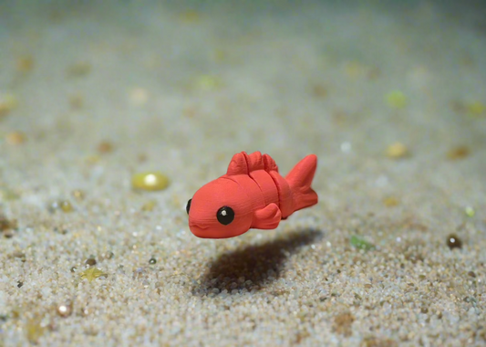 Frankie Fish